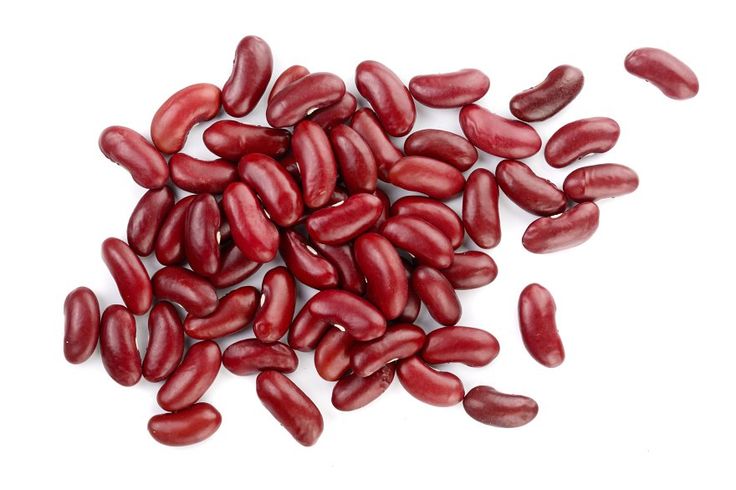 Logistics & Cold-Chain Shipping Solutions for Bulk Iranian Red Kidney Bean Export